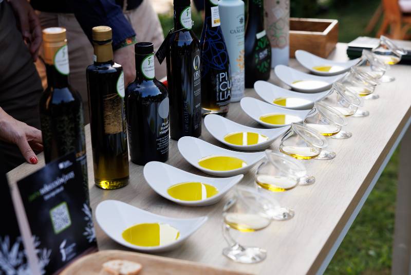 Jaen Highlights W50BR25